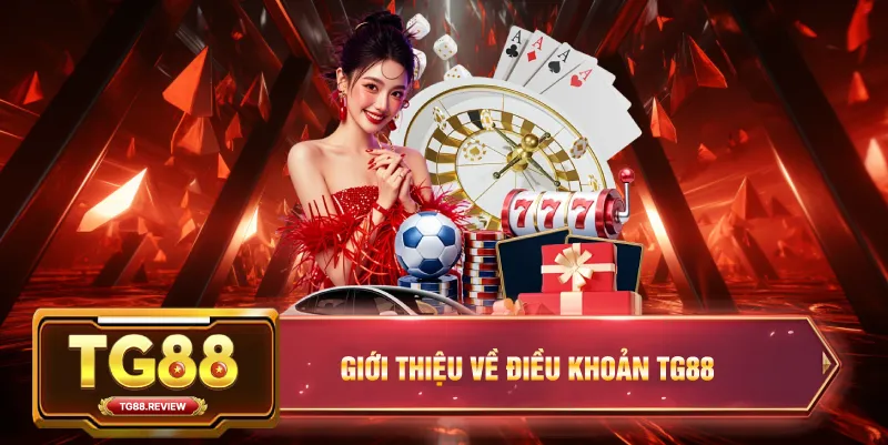 Giới Thiệu Về Điều Khoản Điều Kiện TG88